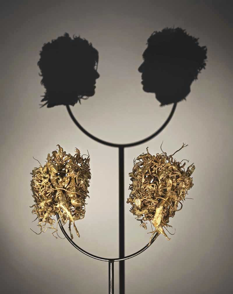 Illustration for article titled Gruesome shadow art transforms garbage and mummified rats into severed heads